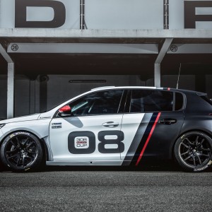 Photo profil Peugeot 308 Racing Cup (2015)