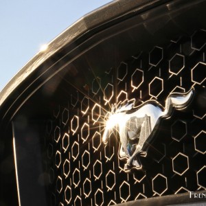 Photo logo Ford Mustang GT Convertible V8 (2016)