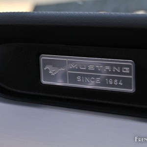 Photo plaque 1964 Ford Mustang GT Convertible V8 (2016)