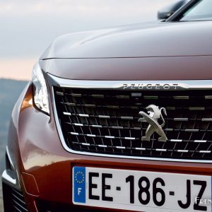 Photo calandre chromée Peugeot 3008 II (2016)