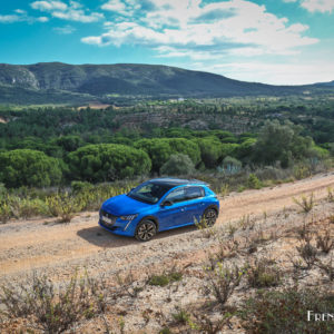 Photo paysage Peugeot 208 II (2019)