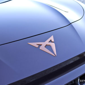 Photo sigle Cupra Terramar (2024)